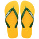 Havaianas Brasil Logo